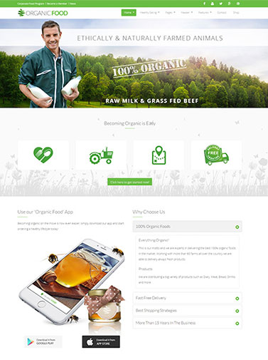 Organic Food Website